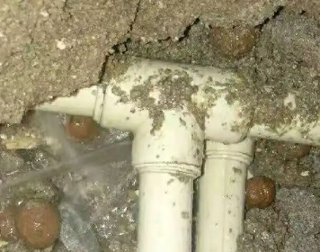 龙泉驿测漏水多少钱